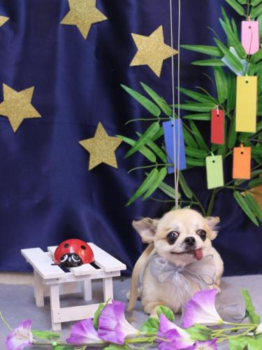 20230730momoちゃん